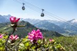 Die besten österreichischen Sommer-Bergbahnen erwarten ihre Urlaubsgäste mit einem abwechslungsreichen Bergerlebnis